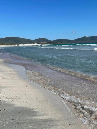 En strand i nærheden af feriehuset