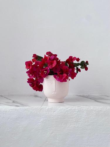a white vase filled with pink flowers on a table at Dear John in Hydra