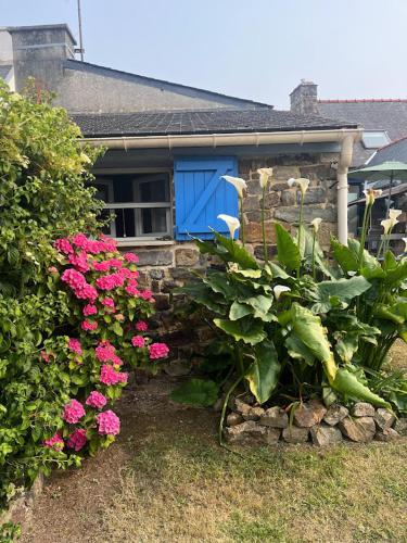 Taman di luar Maison conviviale 8 personnes, vue mer, animaux acceptés