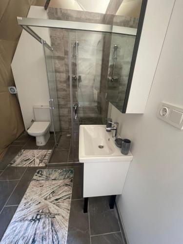 La salle de bains est pourvue d'un lavabo, d'une douche et de toilettes. dans l'établissement Yeşilçam Glamping, à Antalya