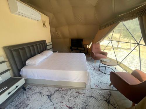 a bedroom with a large bed and two chairs at Yeşilçam Glamping in Antalya