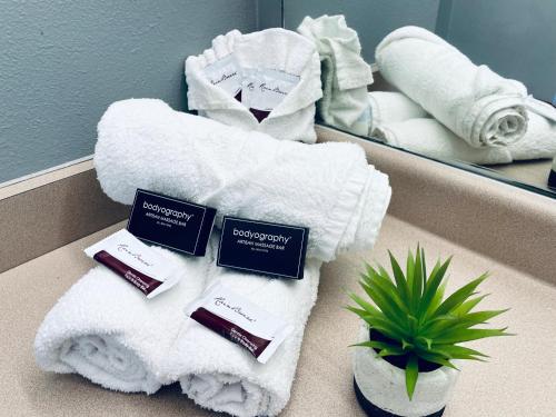 ein Badezimmer mit Handtüchern, einem Spiegel und einer Pflanze in der Unterkunft Extended Stay SA in San Antonio