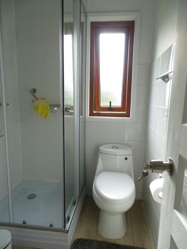 a bathroom with a toilet and a glass shower at CasaMisur in Puerto Varas