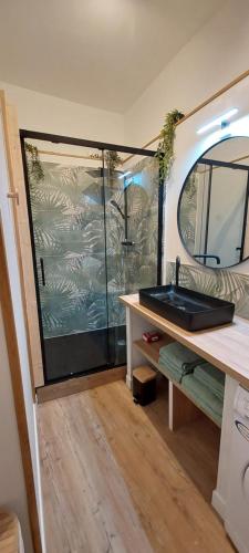 a bathroom with a shower and a sink in a trailer at La PAUSE Salonaise "au coeur de la ville" in Salon-de-Provence