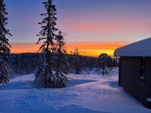 a sunset in the snow with a building and trees at Norebu - Norefjell in Noresund