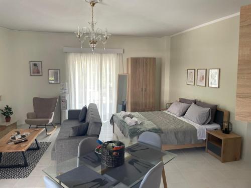 Χώρος καθιστικού στο Gardenia apartment