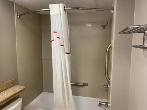 a bathroom with a shower with a white shower curtain at Red Roof Inn & Suites Vineland - Buena in Buena