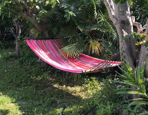 Villa calme grand jardin bord de mer. Parking photo 11