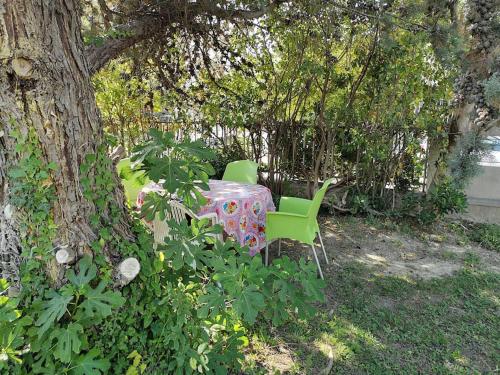 Villa calme grand jardin bord de mer. Parking photo 15