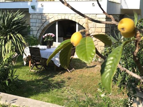 Villa calme grand jardin bord de mer. Parking photo 28