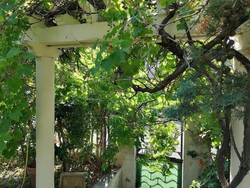 Villa calme grand jardin bord de mer. Parking photo 31