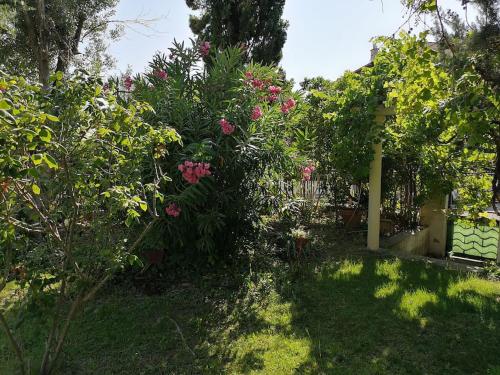 Villa calme grand jardin bord de mer. Parking photo 33
