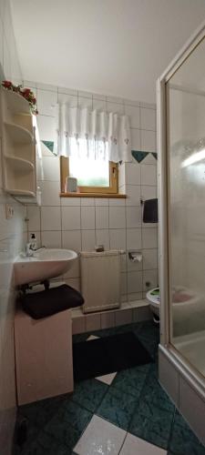 uma casa de banho com um lavatório e um chuveiro em Haseltal em Suhl