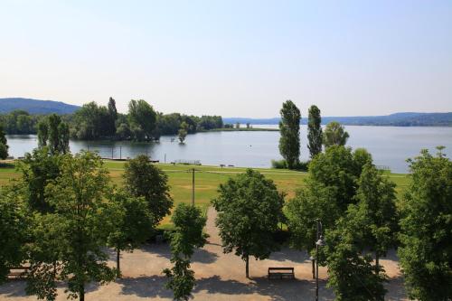 a park with trees and a lake in the background at Hotel Ponti in Angera