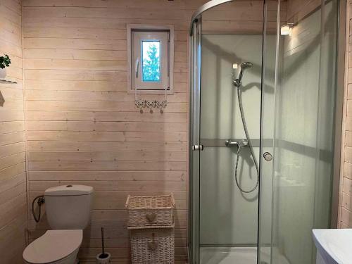 uma casa de banho com um WC e uma cabina de duche em vidro. em Zielony Zakątek em Kretowiny