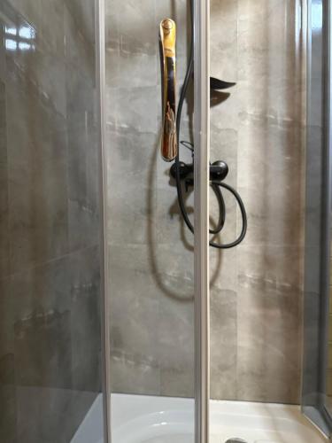 a shower with a glass door with a hose at Vista cottage in Stepantsminda