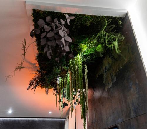 Gambar di galeri bagi Le Vulcano : duplex lounge ! di Vesoul