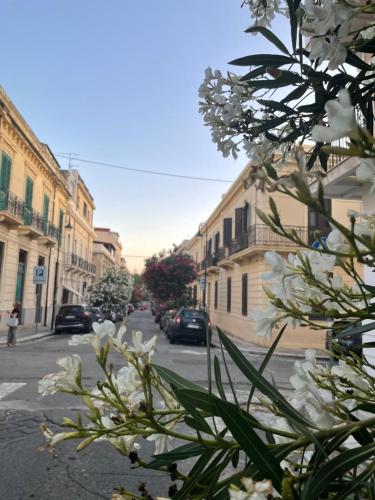 Η γειτονιά γύρω από ή μία γειτονιά κοντά σε αυτός ο ξενώνας