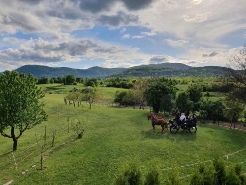 un carruaje tirado por caballos en un campo con gente en Ranch Terra en Irinovac