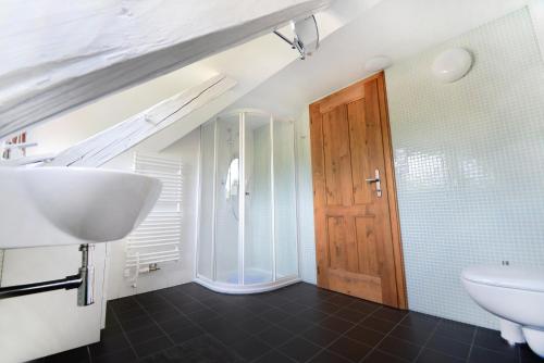 uma casa de banho com um lavatório branco e um WC. em Fara Rejštejn em RejÅ¡tejn
