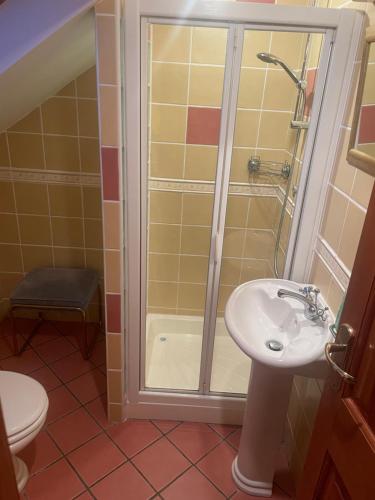 a bathroom with a shower and a sink and a toilet at Cosy Rooms in a Stone Cottage in Galway