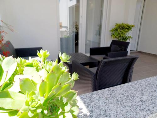 ein Tisch mit Stühlen und ein Tisch mit Pflanzen darauf in der Unterkunft Tonka in Vodice