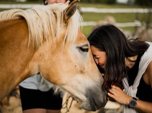 Ranch Terra – Photos 3