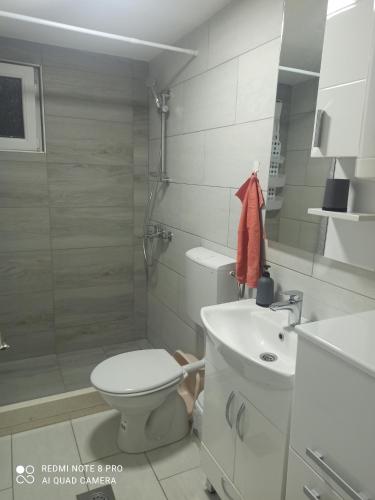 y baño con aseo y lavamanos. en Sunce apartman Bratkovice 1-8c, en Drače