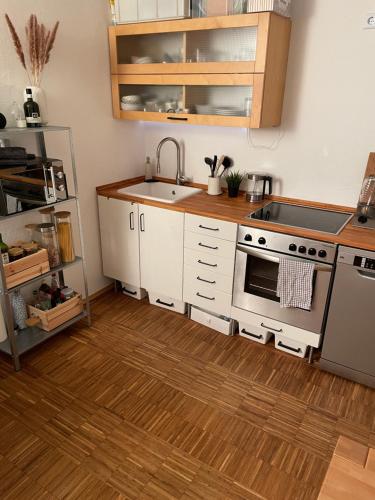 une cuisine avec un évier et une cuisinière dans l'établissement Schnuckliges Hinterhaus / Cottage, à Kelkheim
