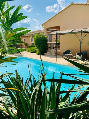 une piscine avec des plantes devant une maison dans l'établissement villa entre st rémy de provence et avignon, à Noves