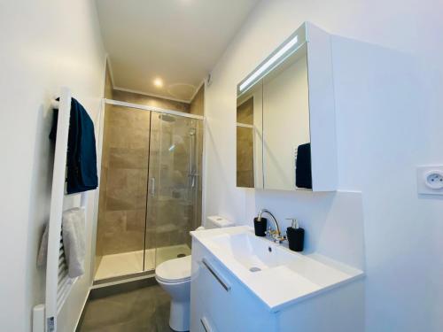 een badkamer met een toilet, een wastafel en een douche bij Cozy appart' a deux pas de la gare - Cozy Houses in Palaiseau