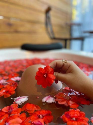 Gambar di galeri bagi Pousada Fiori di Nova Friburgo