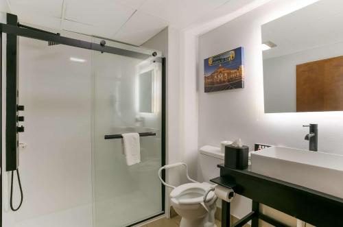 a bathroom with a shower and a sink and a toilet at Econo Lodge Amish Country in Lancaster