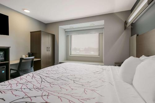 a bedroom with a large bed and a window at SureStay Plus Hotel by Best Western Sevierville in Sevierville