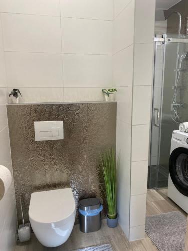 a bathroom with a toilet and a glass shower at NEST1 Apartments in Keszthely