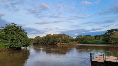 a river with trees on the side of it at Posada Rural Oasis in Caño Negro