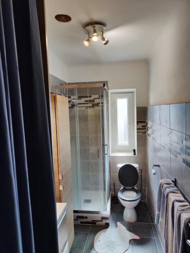 a bathroom with a toilet and a glass shower at Chambre privée Place Garibaldi nice in Nice