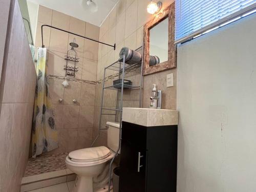 a bathroom with a toilet and a shower with a mirror at Casa San Pedro in San Pedro Tesistán