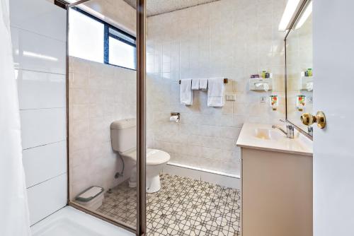 y baño con aseo, lavabo y ducha. en Apple & Grape Motel, en Stanthorpe