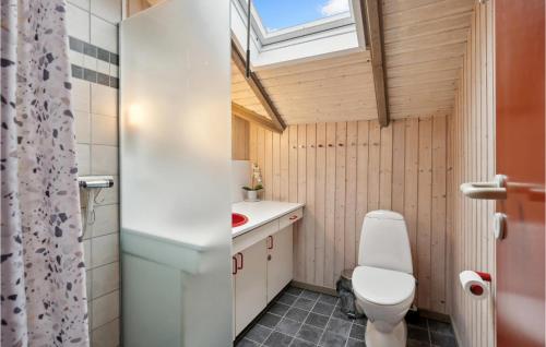 a bathroom with a toilet and a sink and a window at 3 Bedroom Stunning Home In Ringkbing in Søndervig