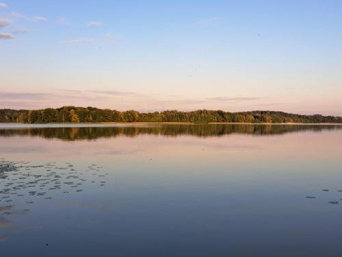 a view of a lake with trees in the background at Siedlisko nad Jeziorem-Mazury in Mrągowo