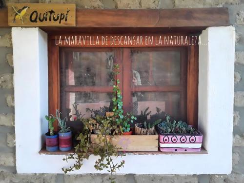 a window with a bunch of potted plants on it at Fincachica in Cachí