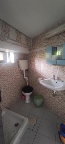La salle de bains est pourvue d'un lavabo et de toilettes. dans l'établissement Efterpi Aggeli, à Loutrópolis Thermís