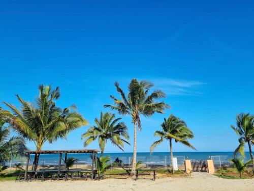 eine Gruppe von Palmen am Strand in der Unterkunft Blackstone Beach Resort in Kuantan