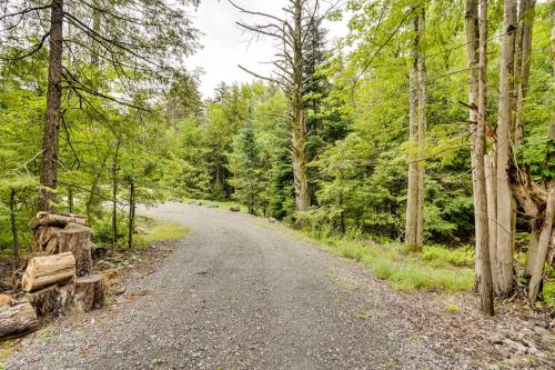 a dirt road through a forest with trees at Secluded Elka Park Cabin Hot Tub and Fire Pit! in Elka Park