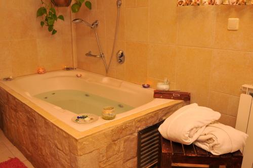 a bathroom with a large tub with a shower at Rosh Pinat Noy in Rosh Pinna