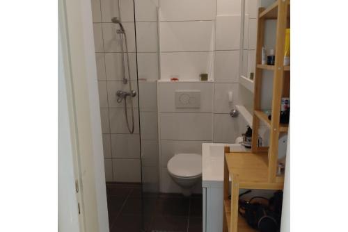 Koupelna v ubytování Private Apartment