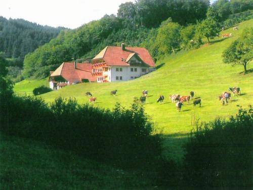 HofstettenにあるComfortable holiday home in a beautiful locationの家屋を持つ緑の丘の上に放牧牛の群れ