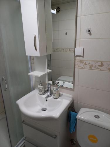 a bathroom with a sink and a toilet and a mirror at STELLA di mare in Sutomore