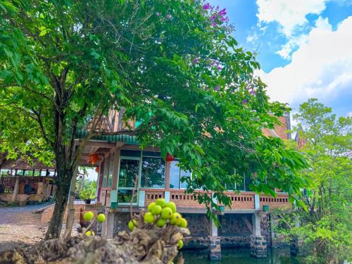 a house with a tree in front of it at Homestay tay in Xã Trảng Bôm